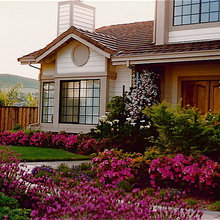 Landscape Ideas