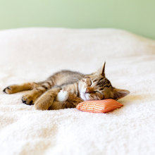 too cute