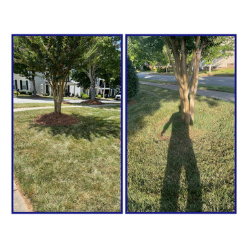 JPG Landwork Pine Needle