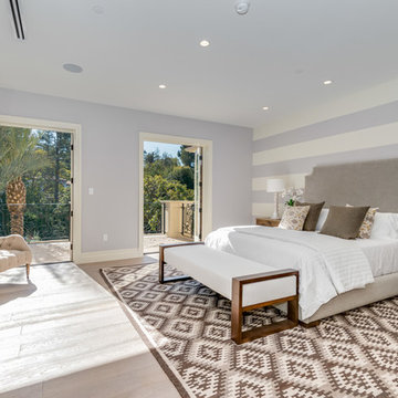 Transitional Bedroom