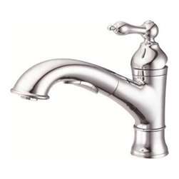 Danze Fairmont Single Handle Pull-Out Kitchen Faucet D455040 - Kitchen Faucets