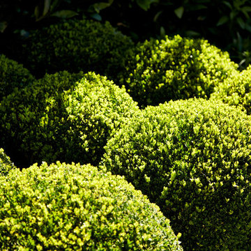French Influence -Toorak