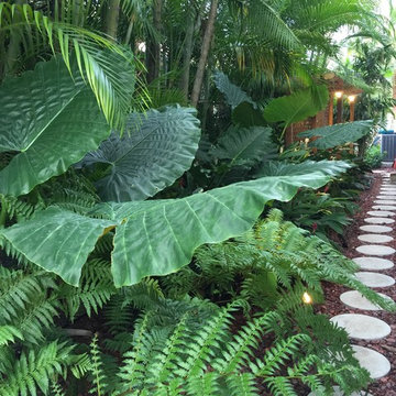 Saturnia, West Boca Raton
