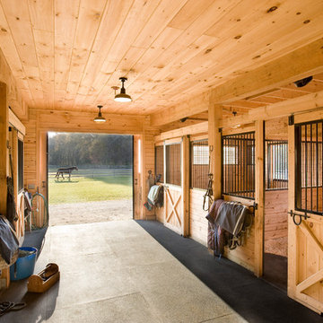 Equestrian Estate