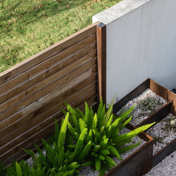Rosedale Modern Courtyard