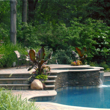 Backyard Oasis