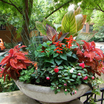 Summer Planters and Container Plantings
