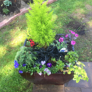 LANDSCAPE - Container Gardens