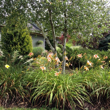 Naturalistic Landscapes