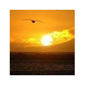 Eileen Meleg's photo