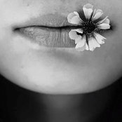 sara's photo