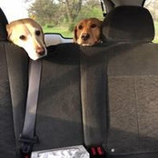 Jayce Schroeder's photo