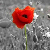 Foto von Bev Carew