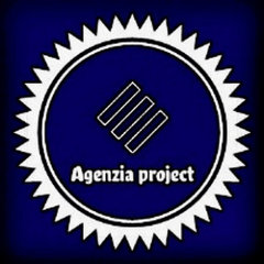 project agency
