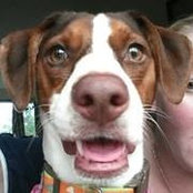 Brandy Burke's photo