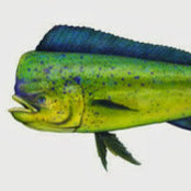 Bryan Pressleys billede
