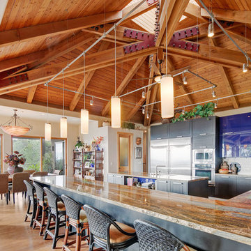 Contemporary Kitchen