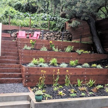Backyard renovation