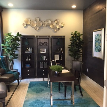 Tuscon Model Interiors