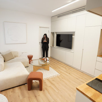 Basement Apartment-Interior Design