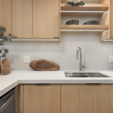 Condo Renovation in Toronto