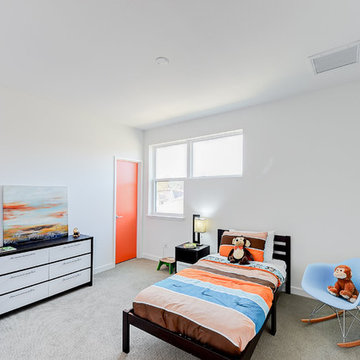 Cedarbrook Modern Home