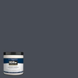 BEHR Sled - Paint