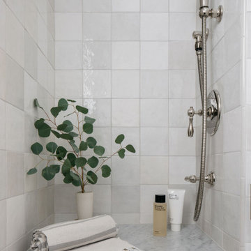 Wilmette Bathroom and Laundry Room