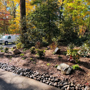 A Natural Woodland Edge Refresh in Wayne