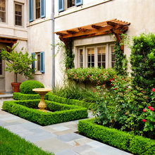 Landscape/ garden