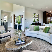 Living Room Ideas