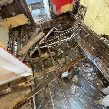 Termite Damage Is at it Again