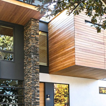 Modern Portfolio