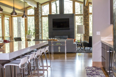 Inspiration for a living room remodel in Other