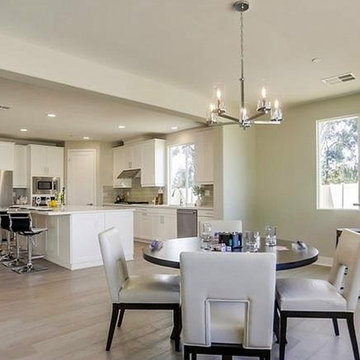 Model home staging - Vista CA 2019