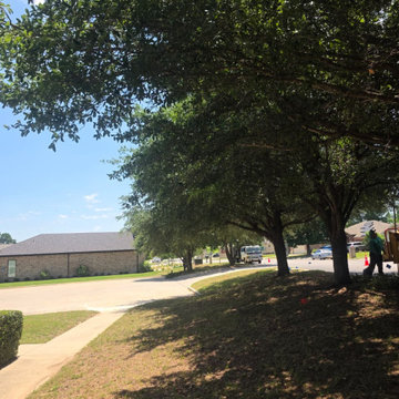 General Tree Services