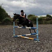 Tash Pawley's photo