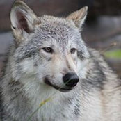 Scott Joseph's photo