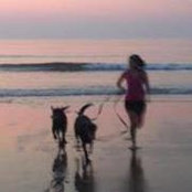 Michelle Cormier Ferullo's photo