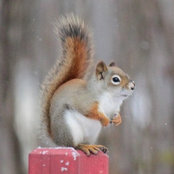 Lori Vertin's photo
