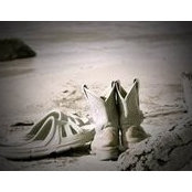 Shelley Robinett's photo
