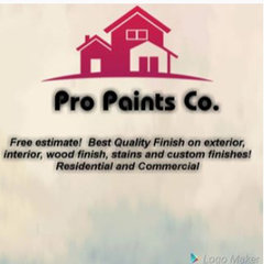 Pro Paints Co.