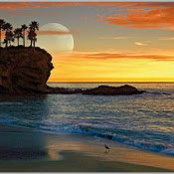 Pradeep Kumar's photo