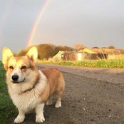Foto von Vic