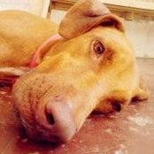 Foto de Bea Faith
