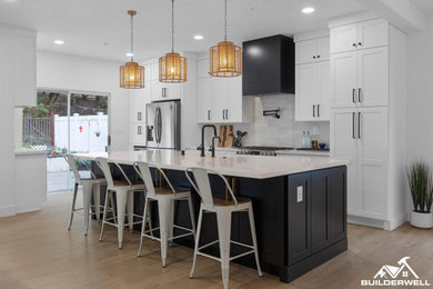Minimalist kitchen photo in Orange County