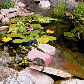 Water Features