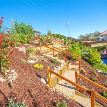 Terraced Backyard