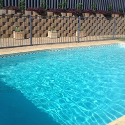 Bionizer's Ultimate Eco Pool System - Products