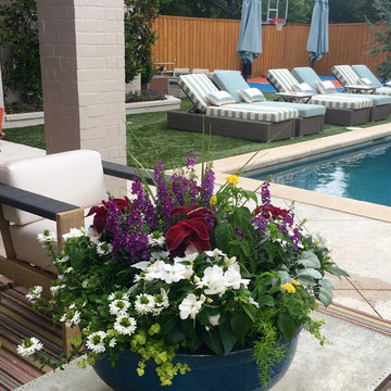 Summer Container Gardens